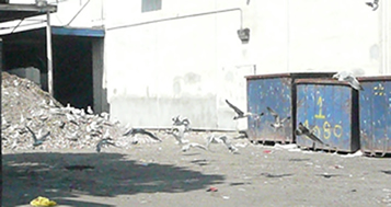 Cal Waste Solutions