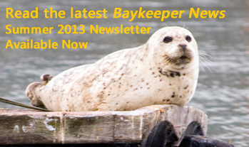 2013 Spring/Summer 2013 Newsletter