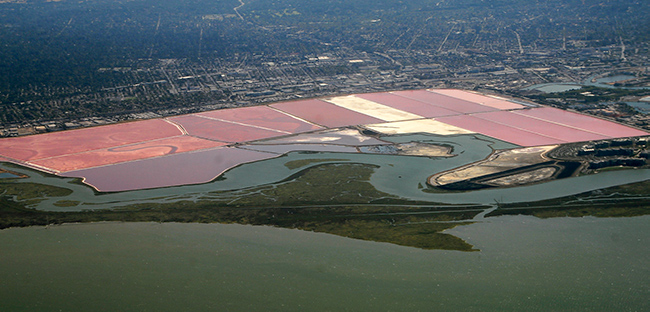 Salt Ponds