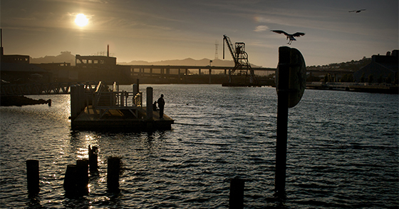 Islais Creek-Matt Baume