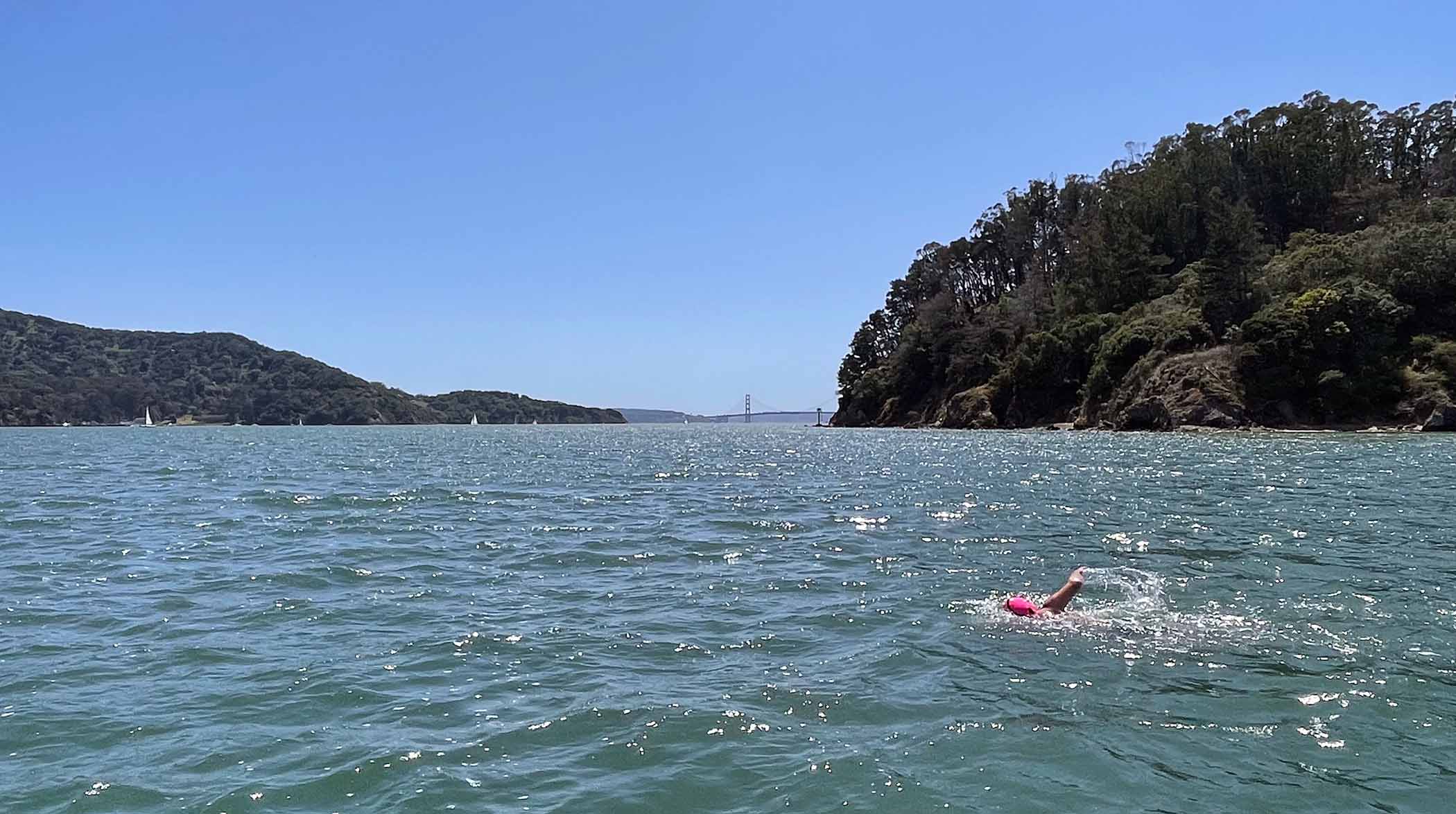An Epic 24-Hour Swim—With Whales & Wine