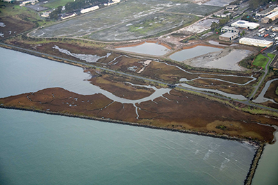 Clean up the Bay's Toxic Sites