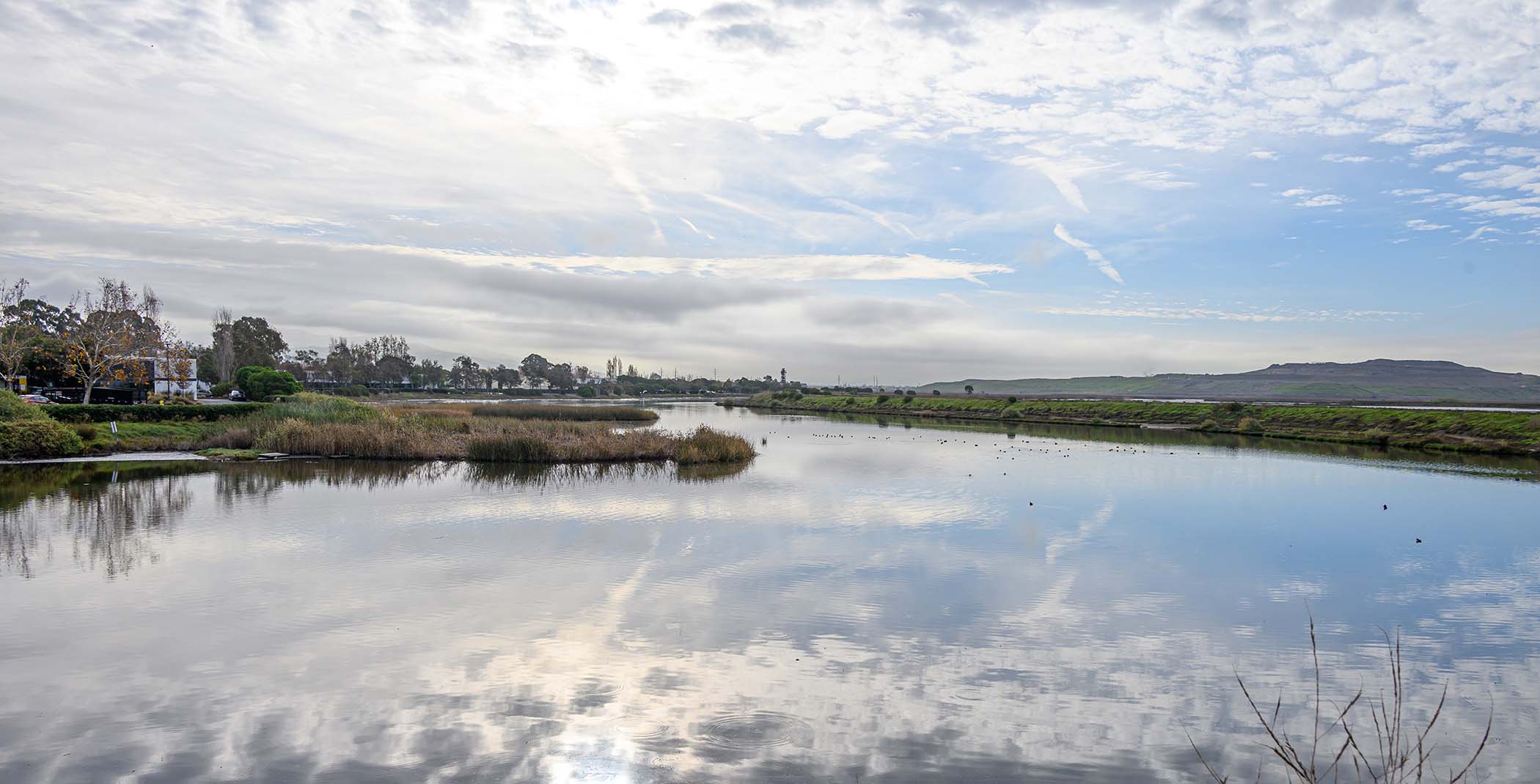 Coyote Creek Lagoon 