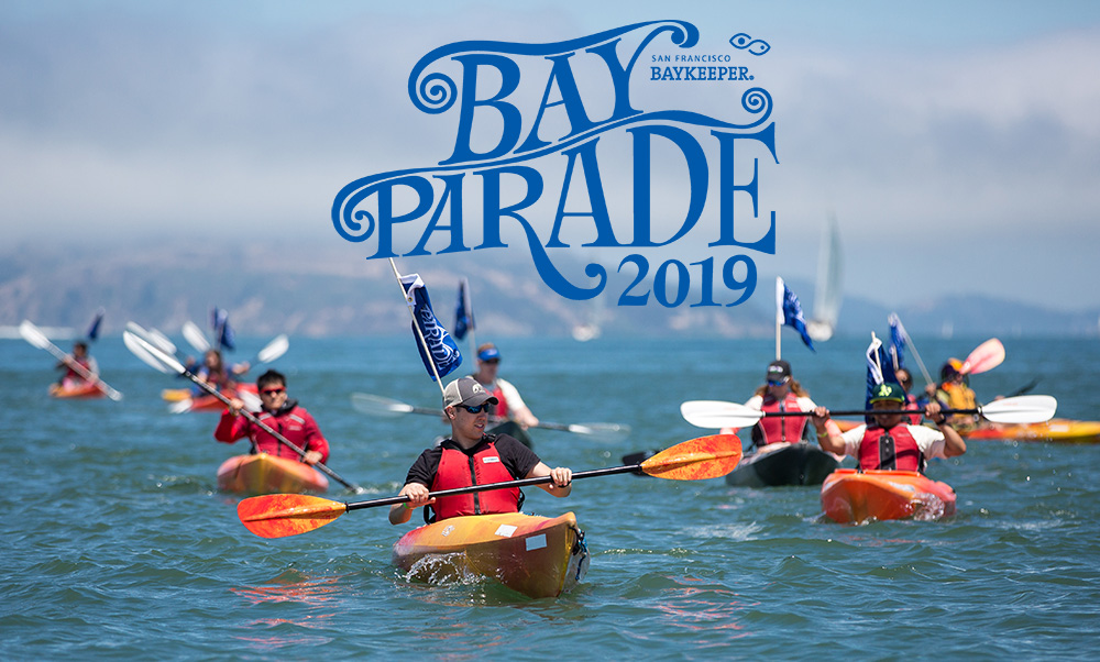 2019 Bay Parade kayak