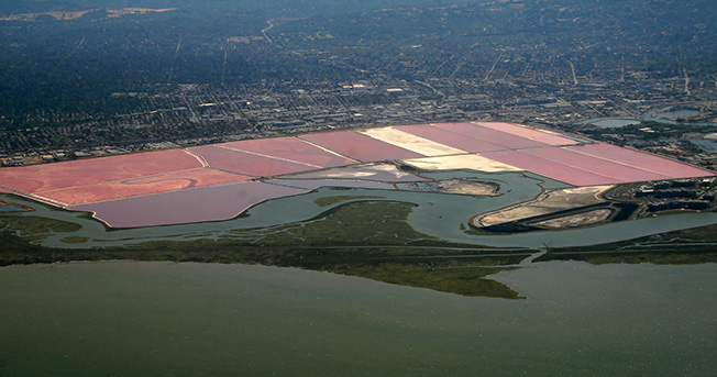 Redwood City Salt Ponds