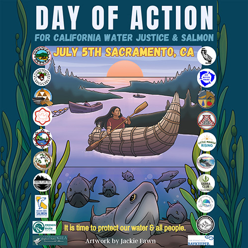 Day of Action for Water Justice & Salmon at the State Capitol