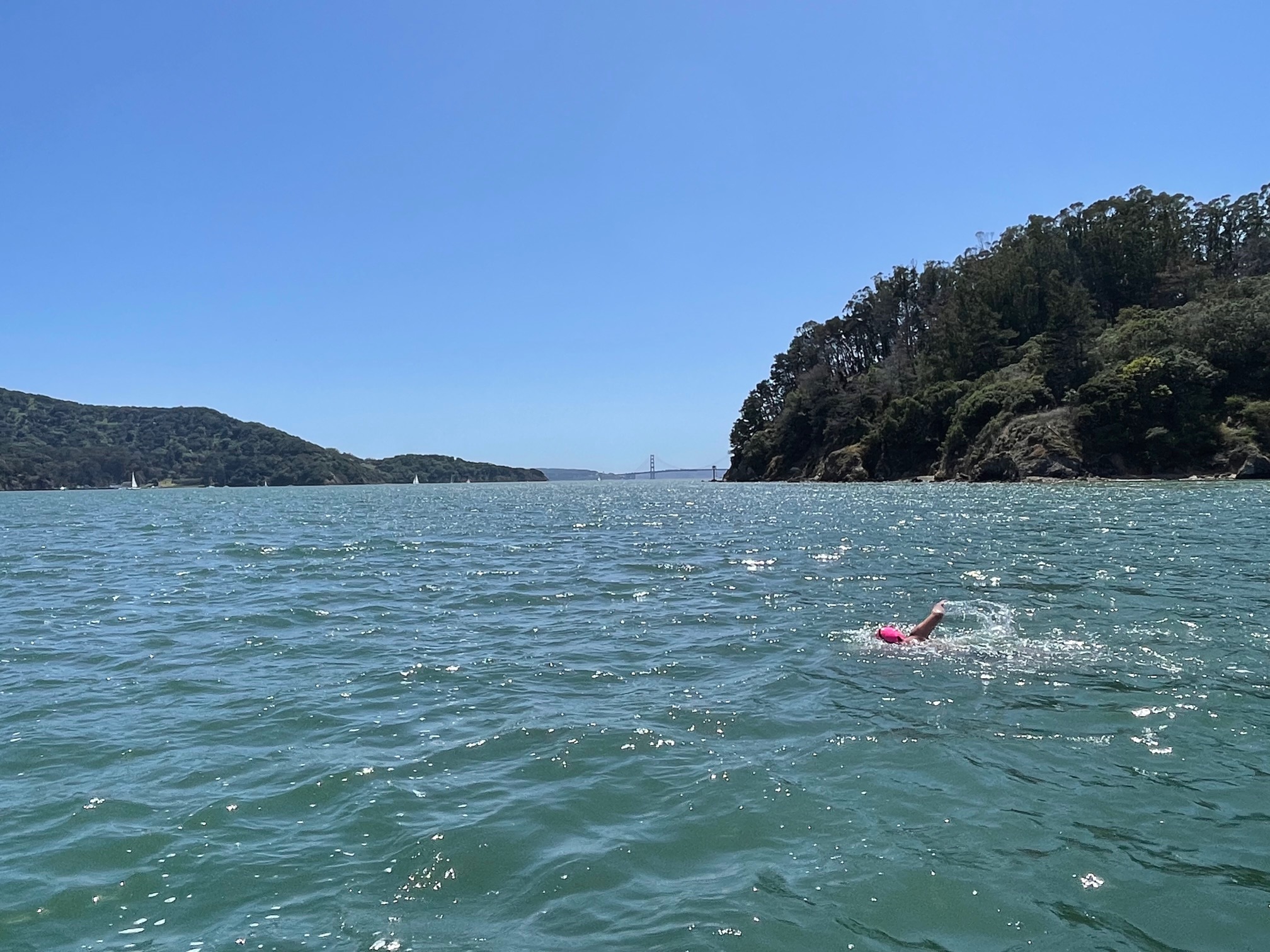Dramatic Nineteen-hour, Overnight SF Bay Swim Benefits San Francisco Baykeeper