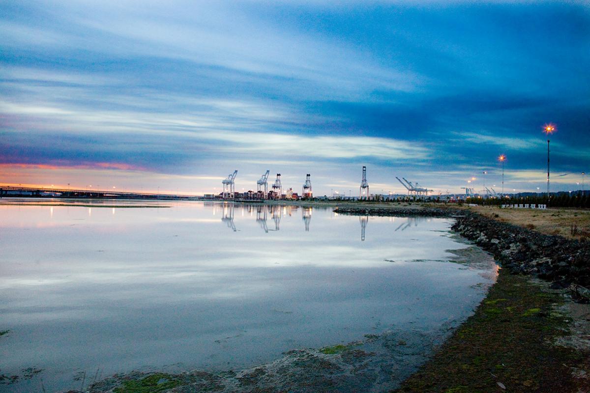 Oakland shoreline