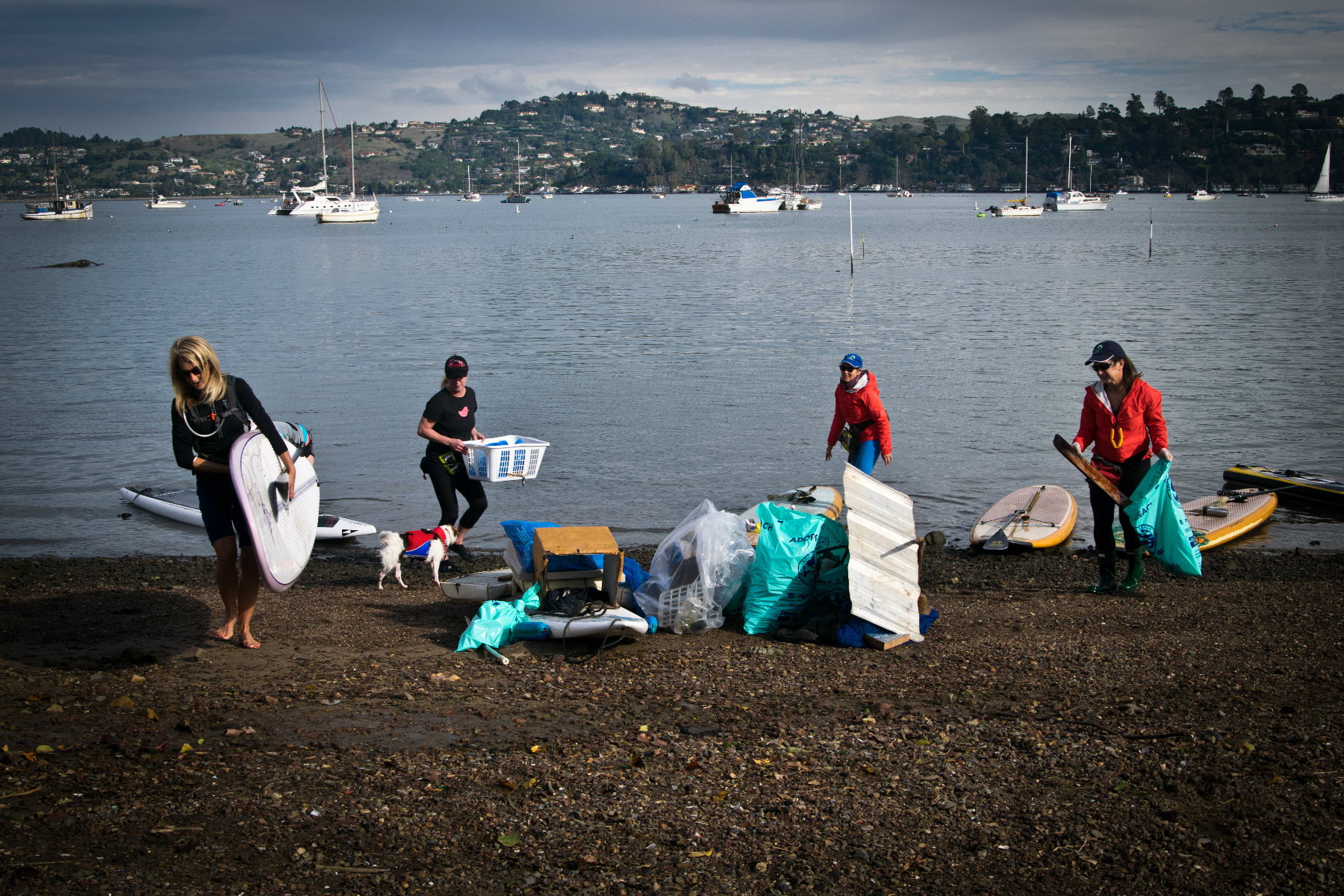 Cleanup volunteers