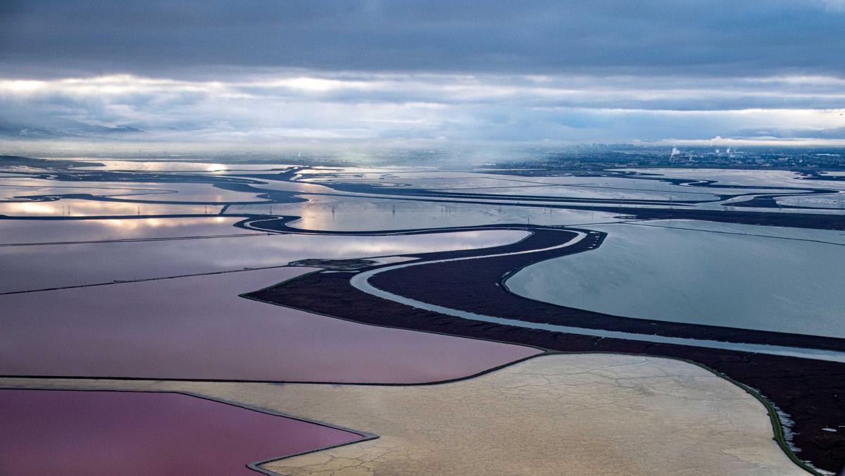 South-Bay-and-Coast-Flight-D850-Baykeeper-12-19-2019-0464-2-Zoom