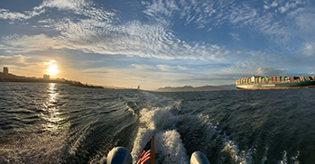 The Bay