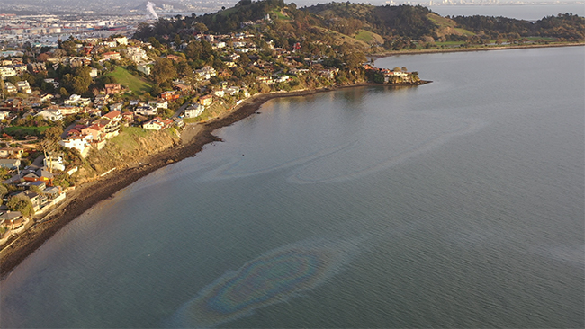 Oil sheens on the bay