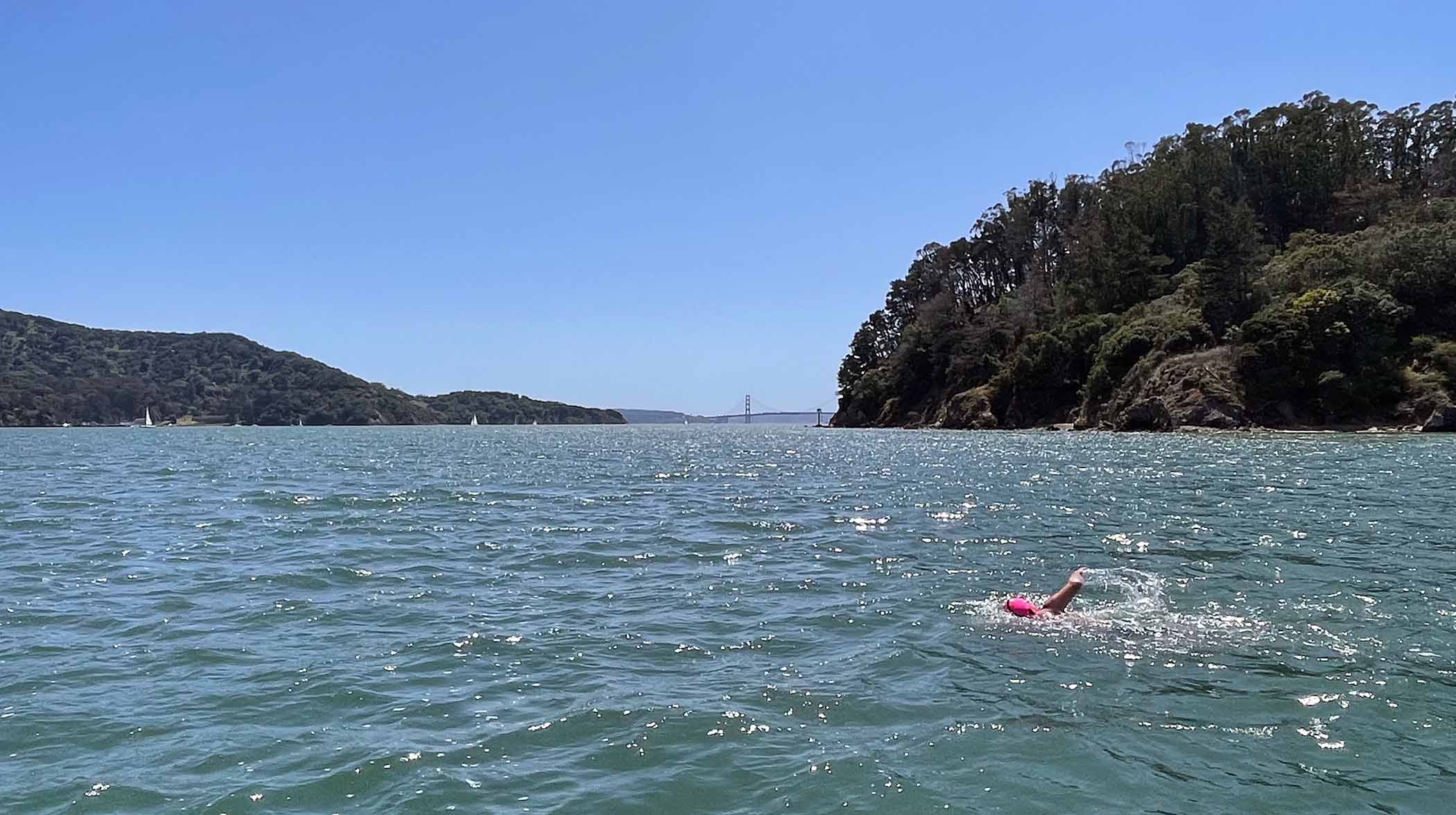 Swimmer in the Bay with the Golden Gate Bridge in the background