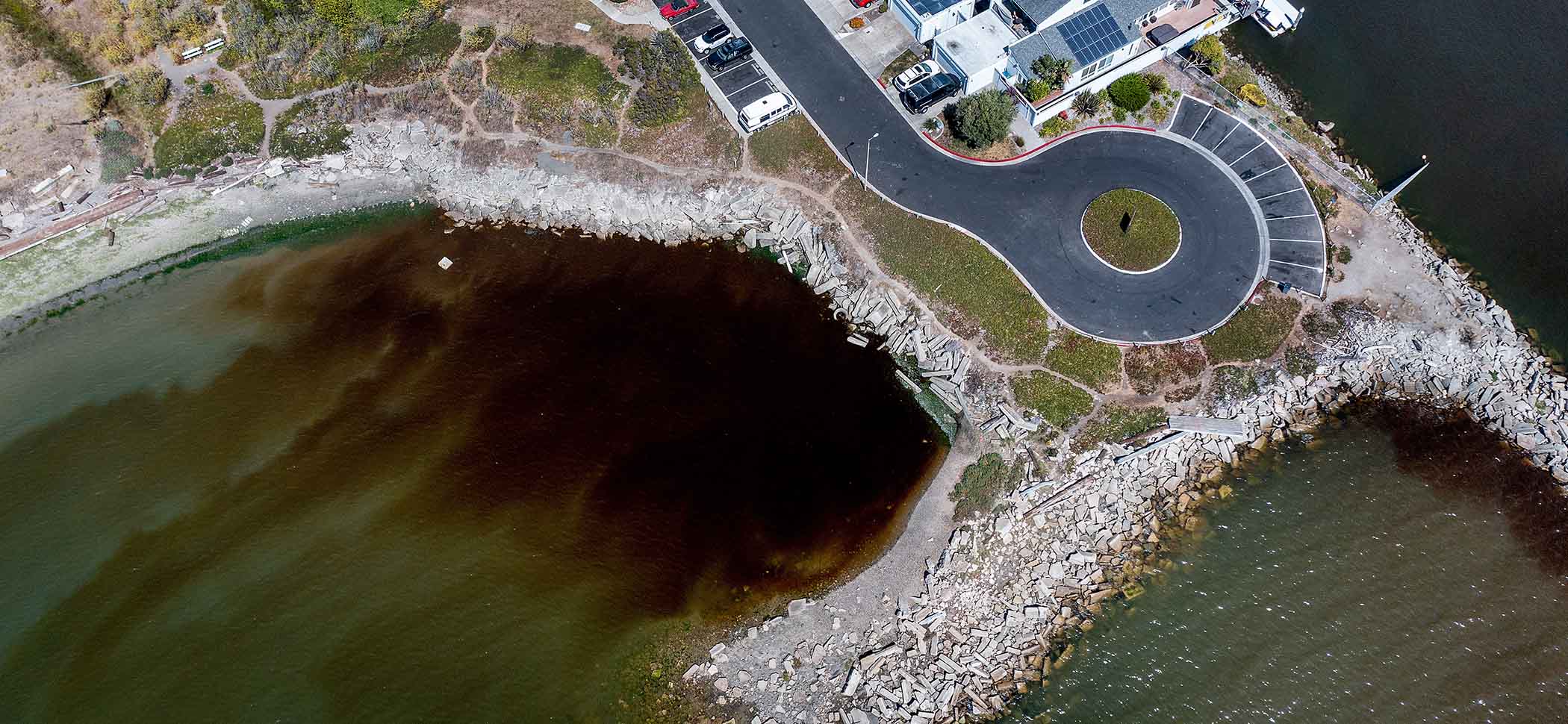 Act Now: Don’t Let Algae Blooms Become Our New Normal - San Francisco ...