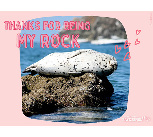 Valentine with a harbor seal on a rock, text "Thanks for being my rock"