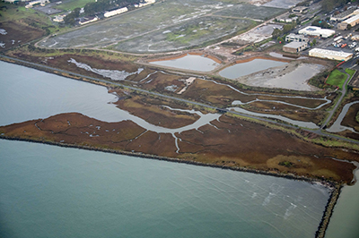 Aerial of Zeneca site on Bay