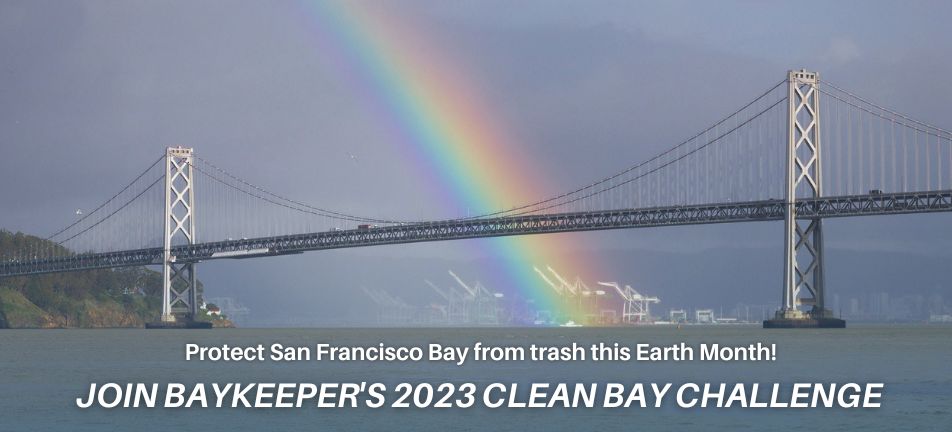 Rainbow over bridge announcing Clean Bay Challenge