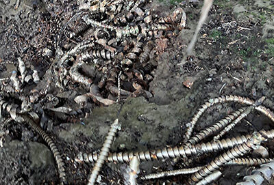 Metal shavings embedded in the shoreline