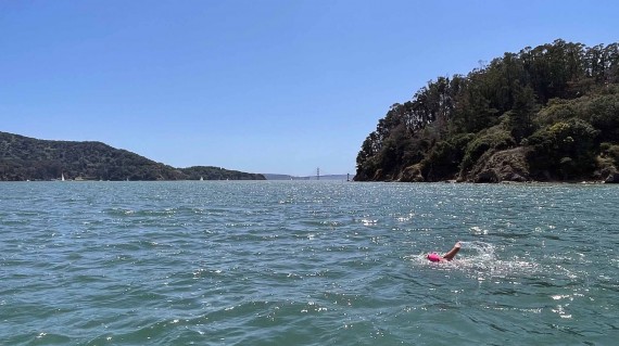 Swimmer