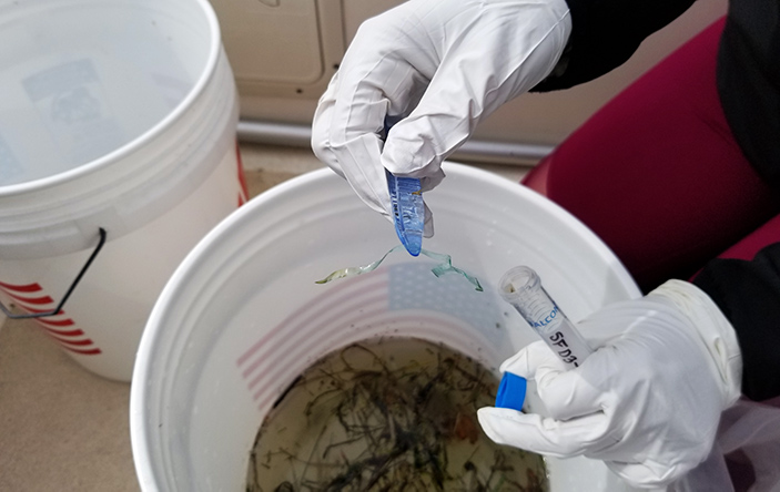 Microplastics