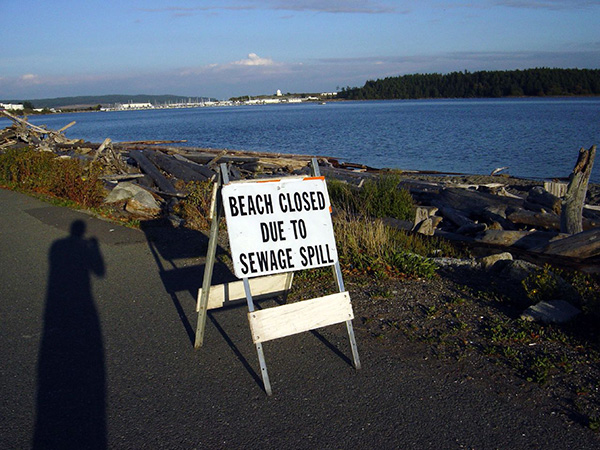 Sewage warning sign along the Bay shoreline