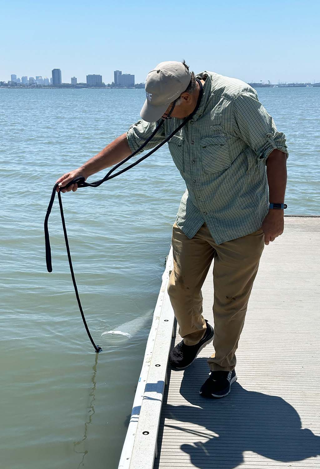A Baykeeper volunteer testing the Bay for algae
