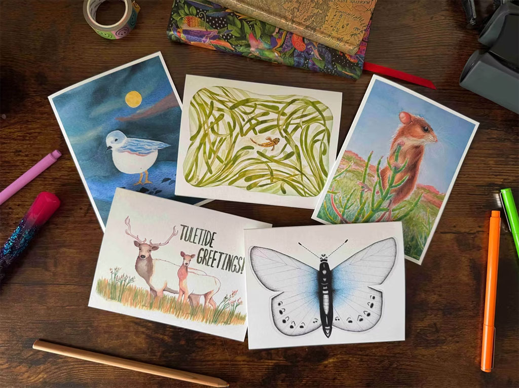 Five greeting cards with Bay wildlife illustrations