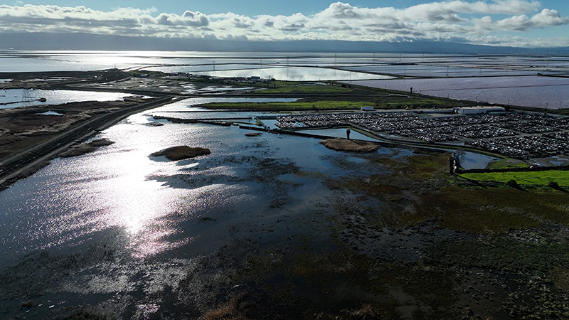 Aerial view of flooded Newark Baylands shoreline with Bay in the background