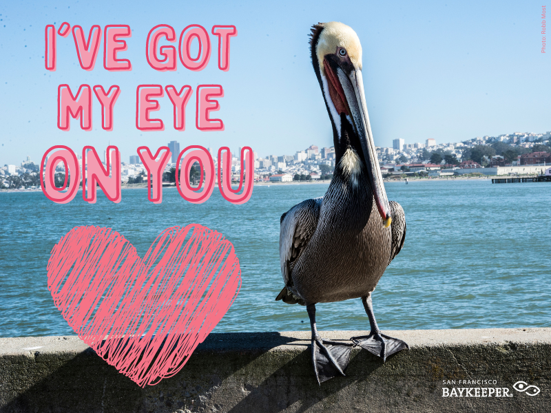 I've Got My Eye On You valentine